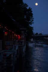 Fotograf Felix Wild - Zürich Albisrieden